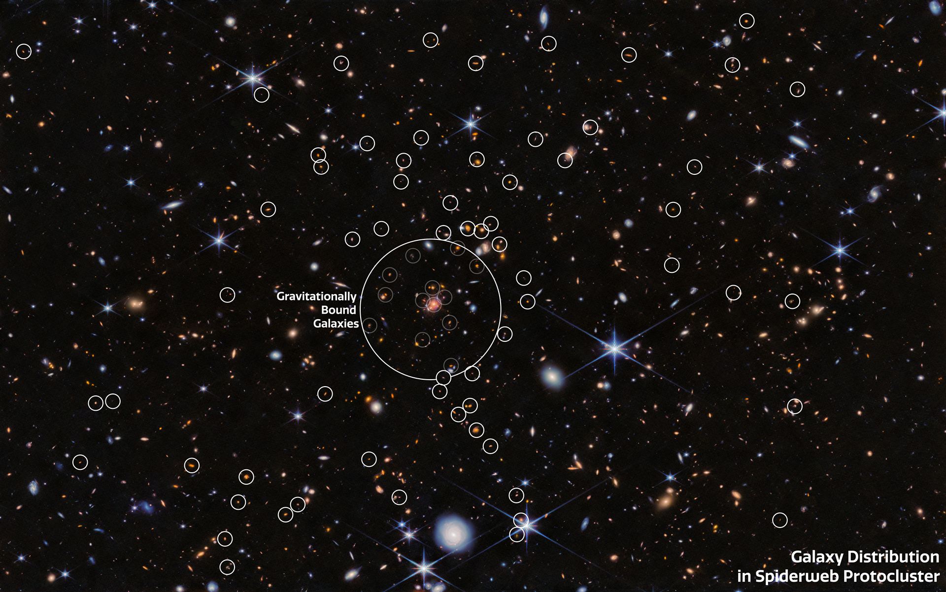 Galaxy distribution in the Spiderweb Protocluster  (NIRCam, annotated)