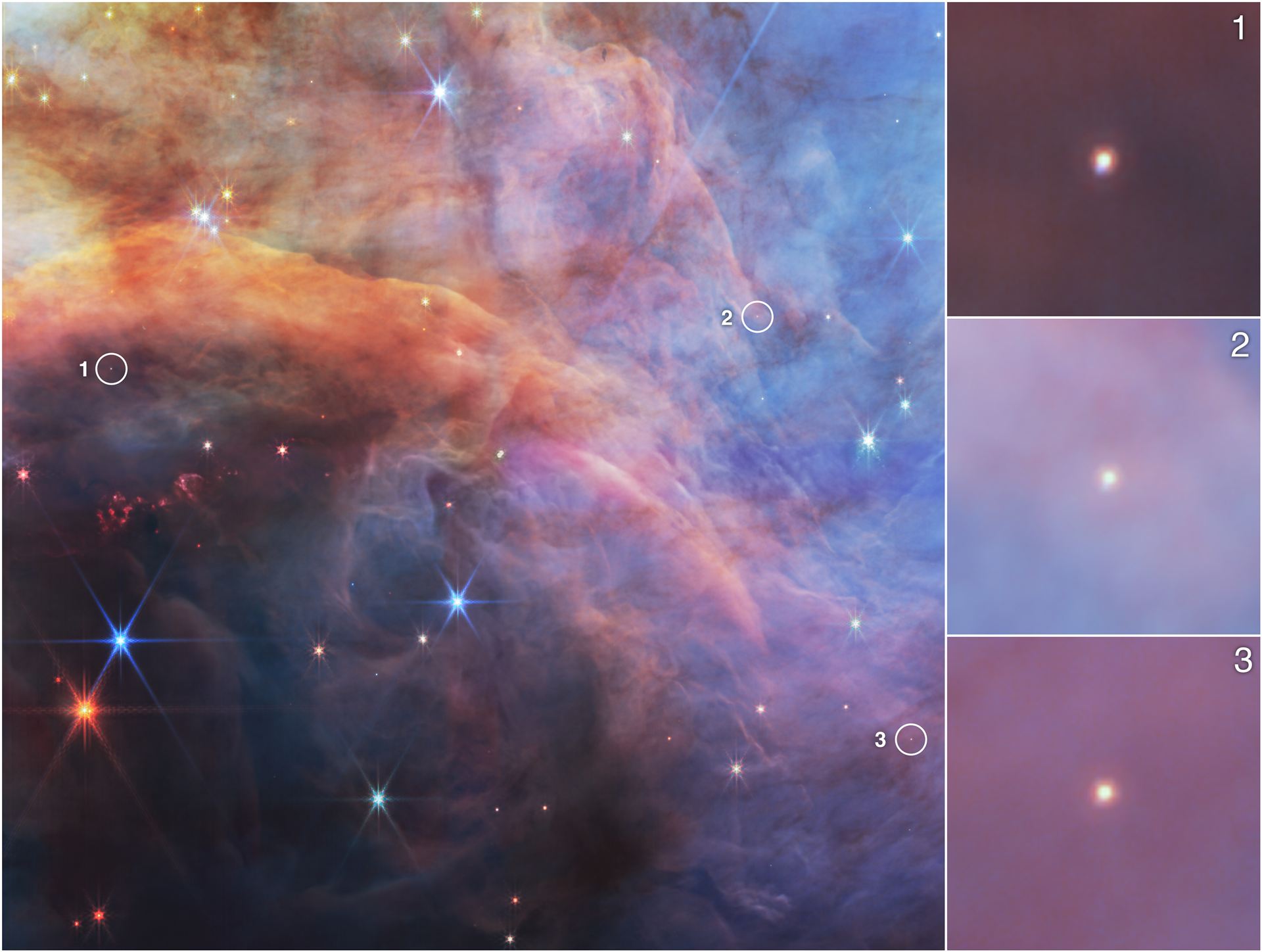 Low mass objects within the Flame Nebula in infrared light