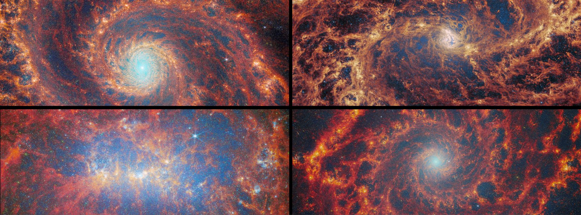 Nearby star-forming FEAST galaxies