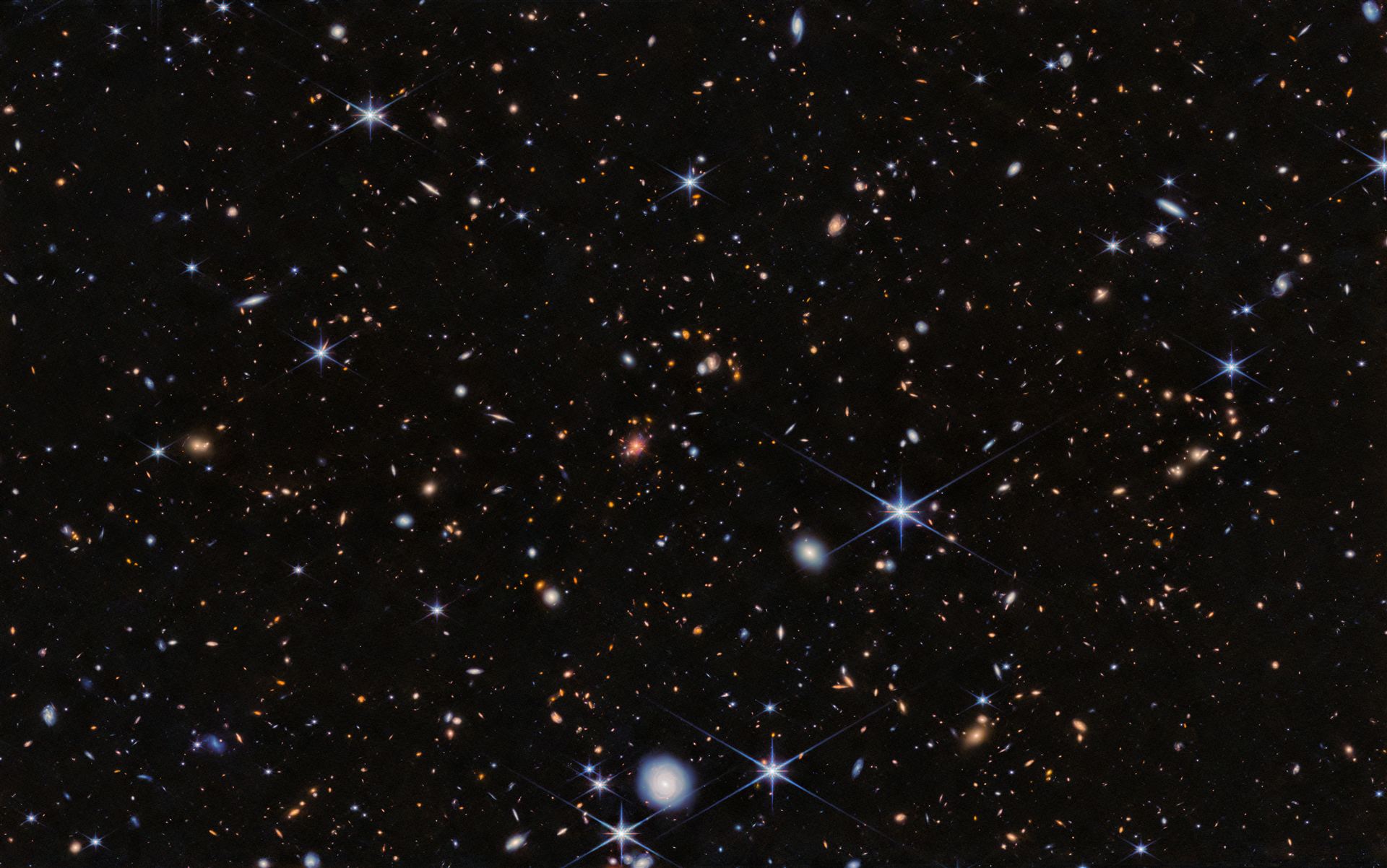 Spiderweb Protocluster (NIRCam)