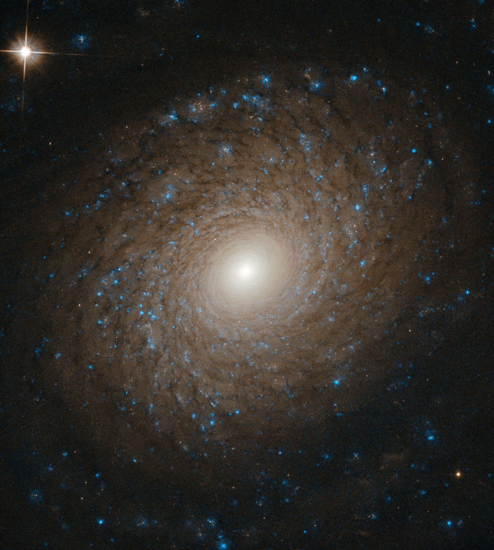 A Beautiful Whorl