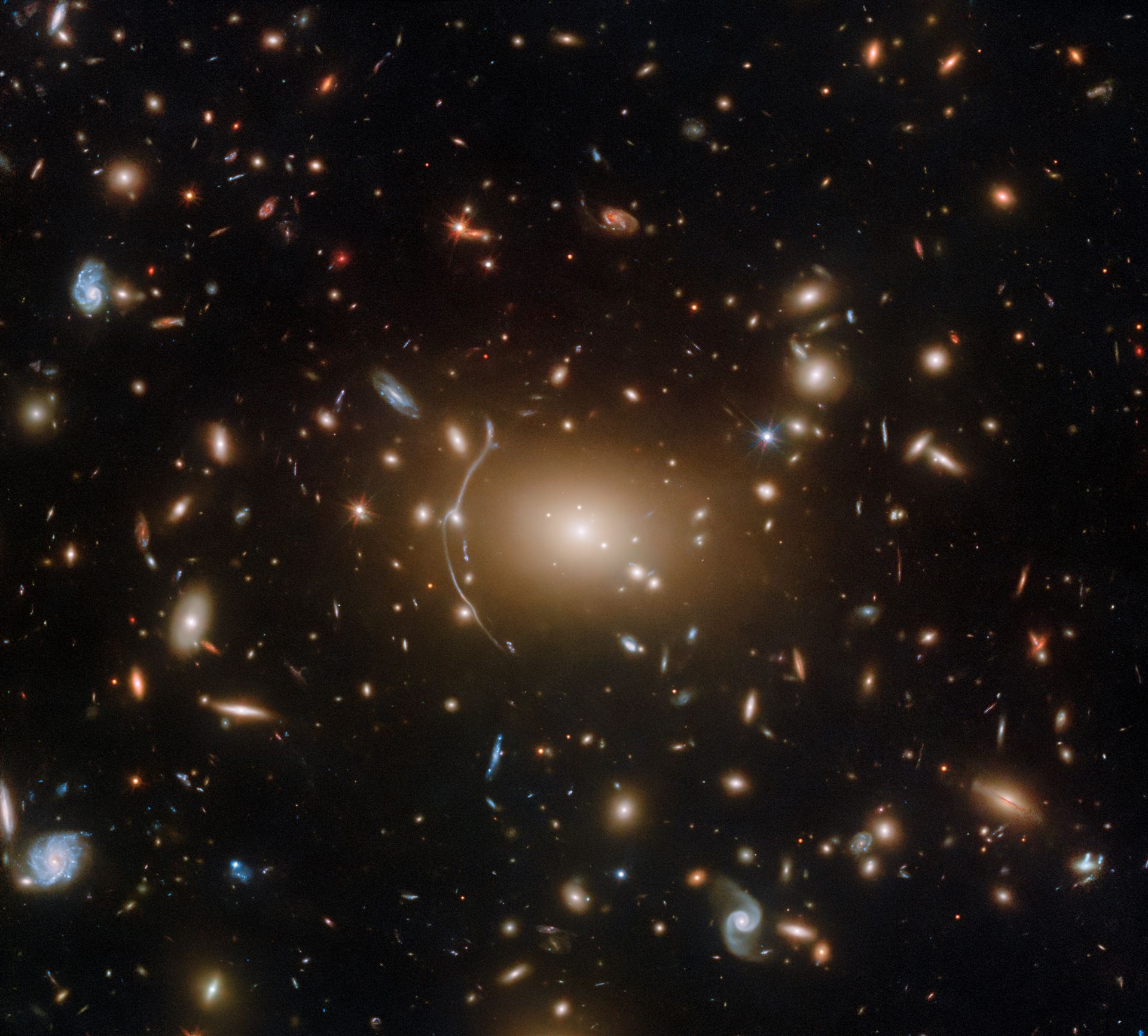 A Cosmic Cobweb