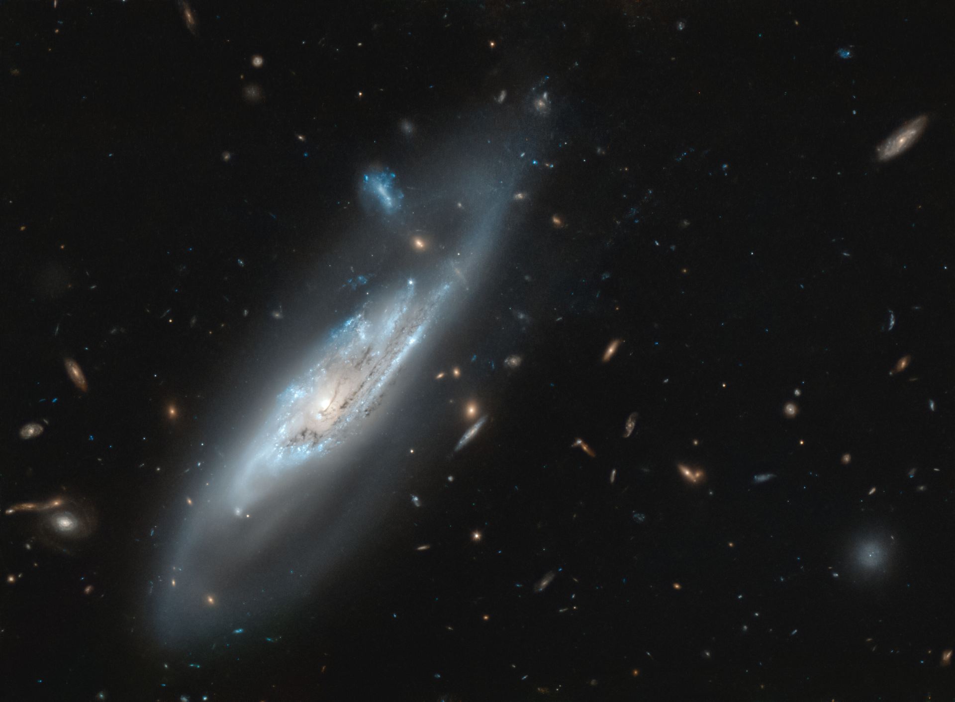 A Discovery of Ghostly Arms