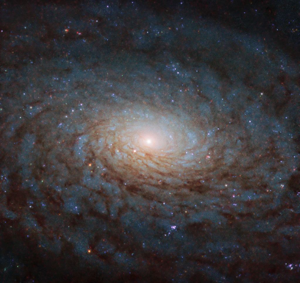 A Galactic Portal
