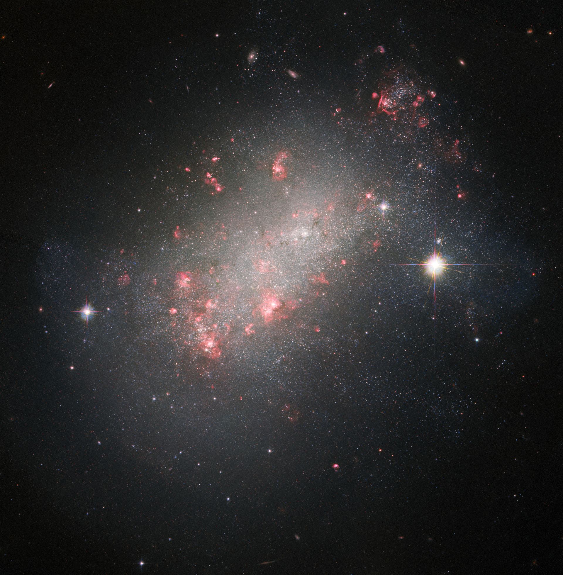 A Marvel of Galactic Morphology