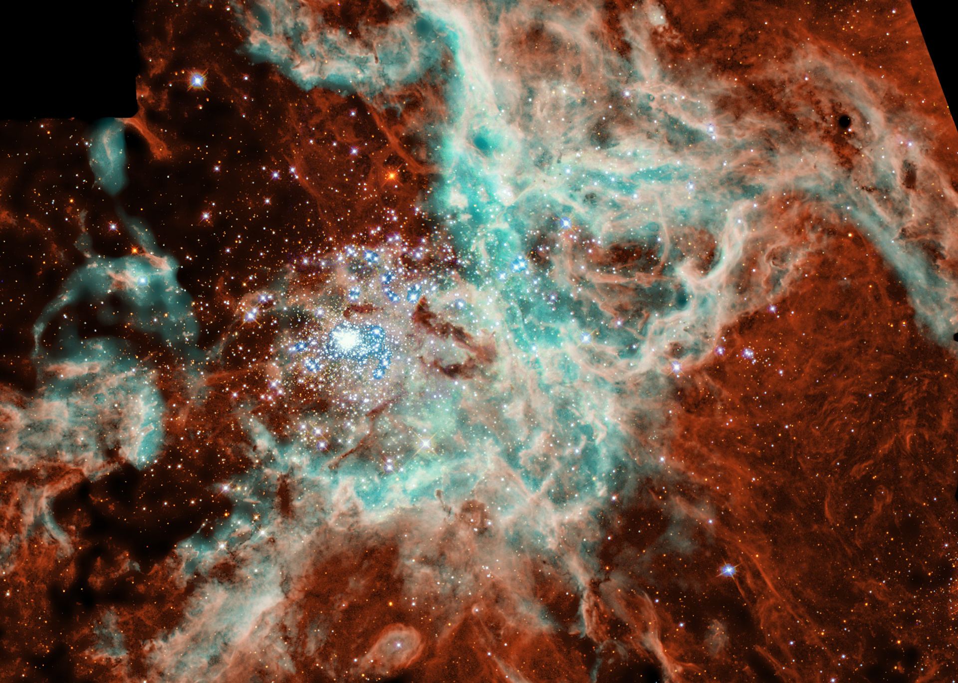 A Portrait of R136