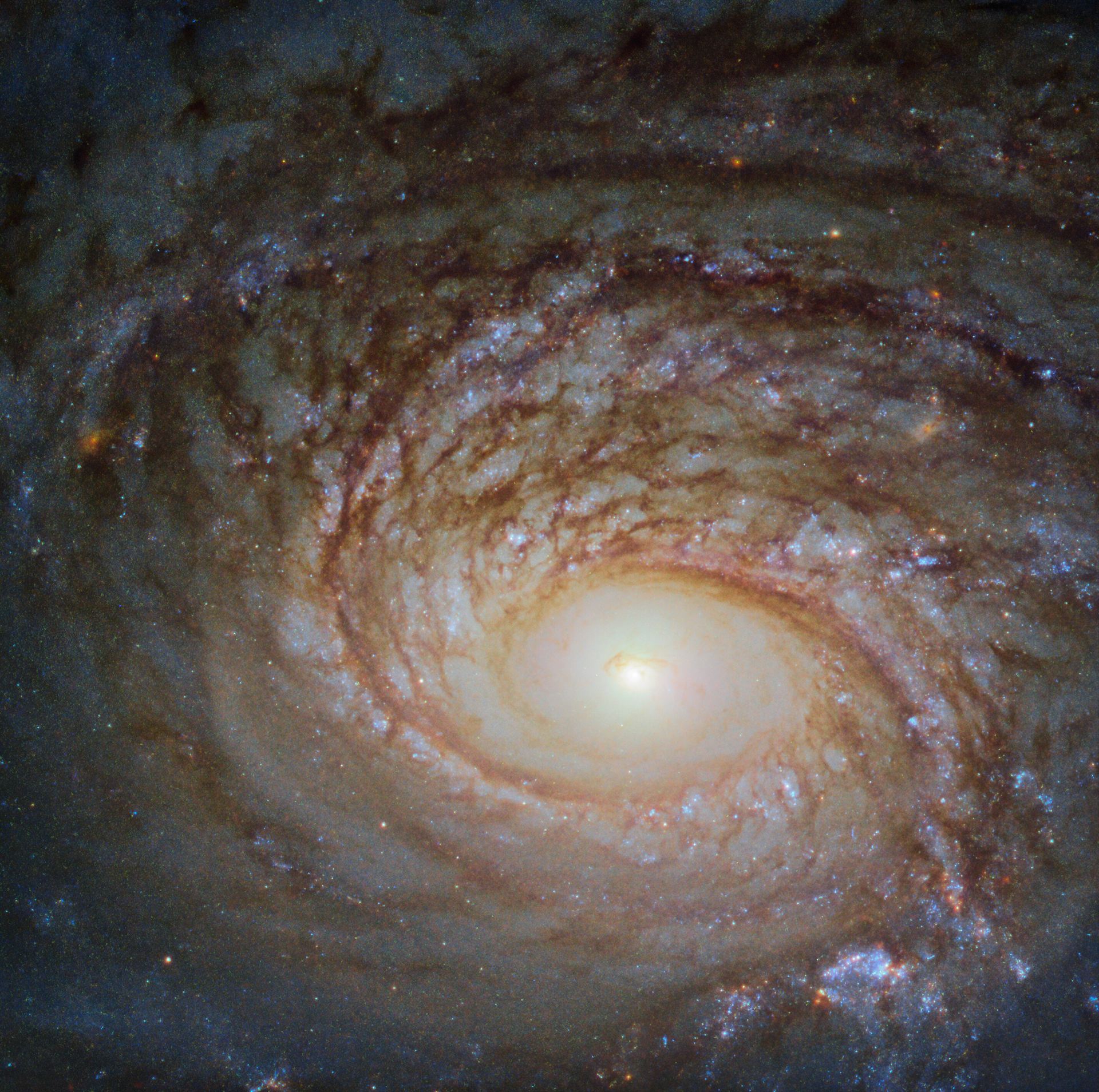 A Rival to the Milky Way