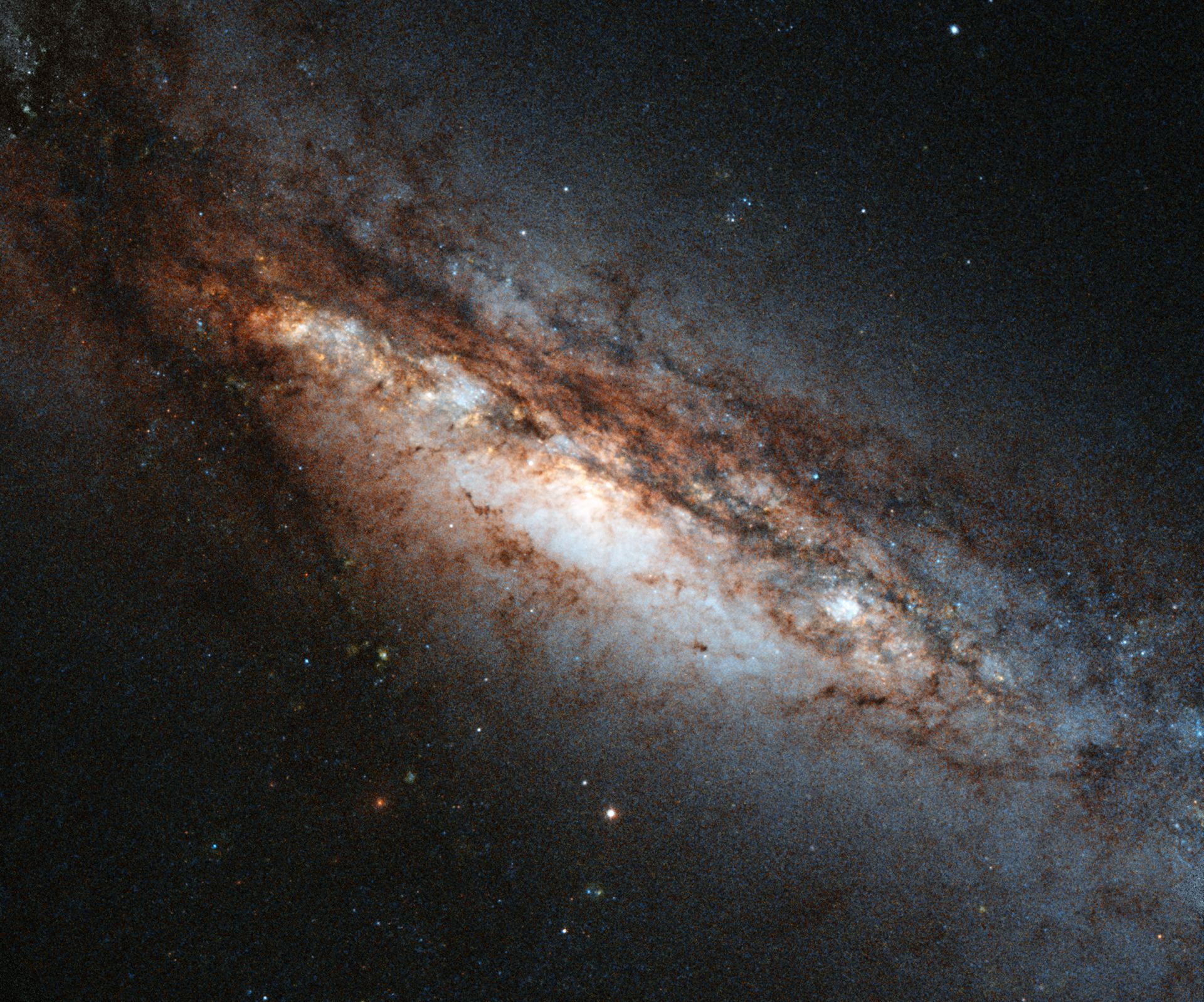A bizarre cosmic rarity NGC 660