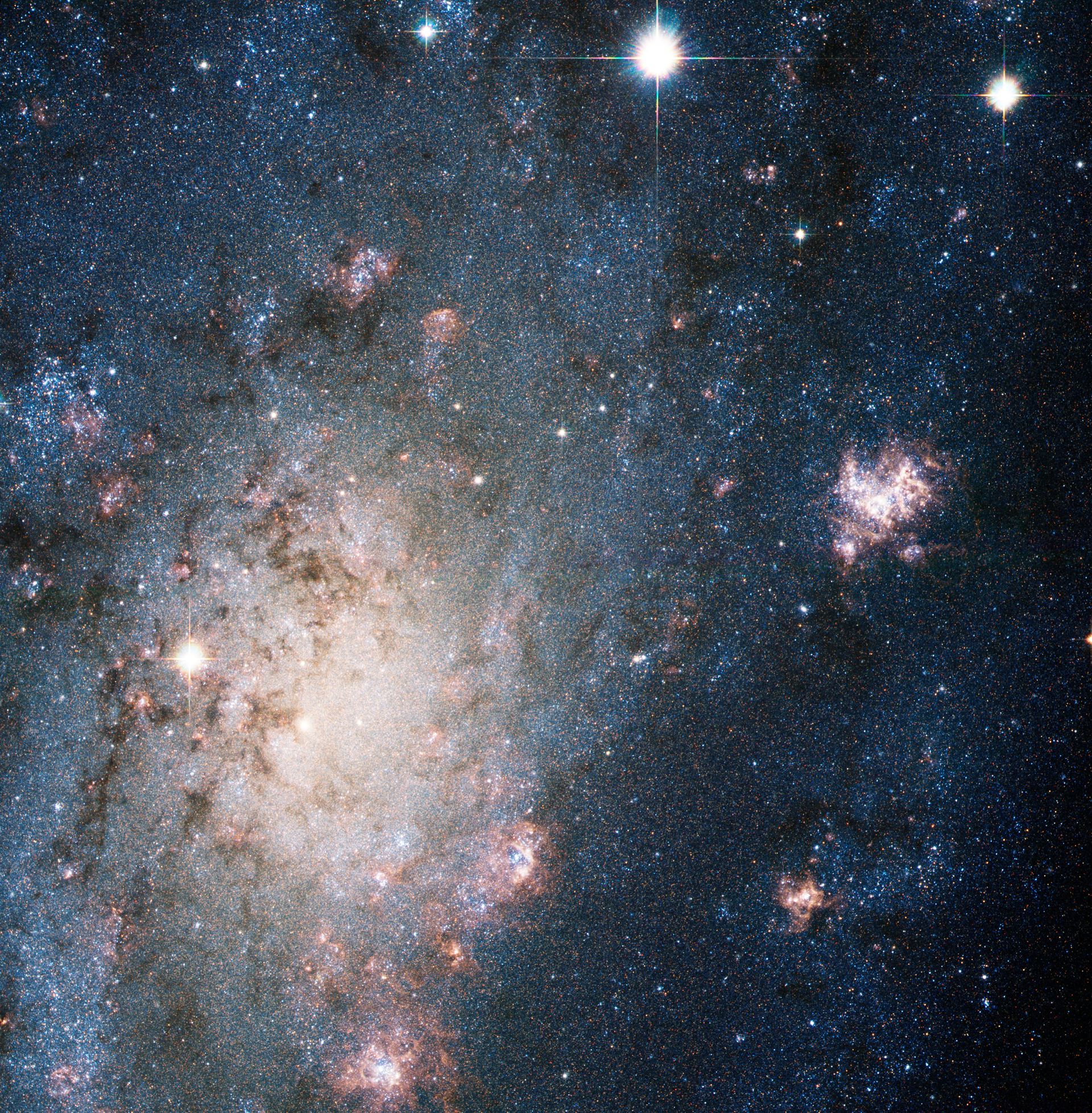 A bright supernova in the nearby galaxy NGC 2403