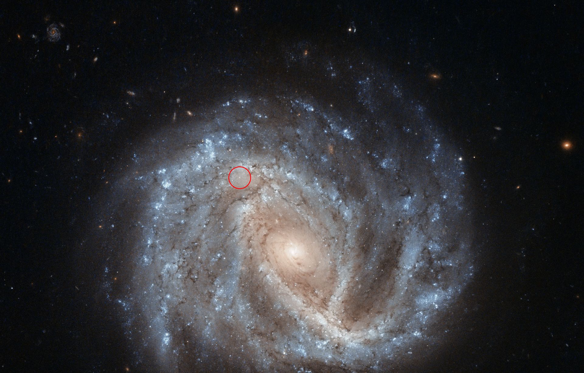 A curious supernova in NGC 2441 (annotated)