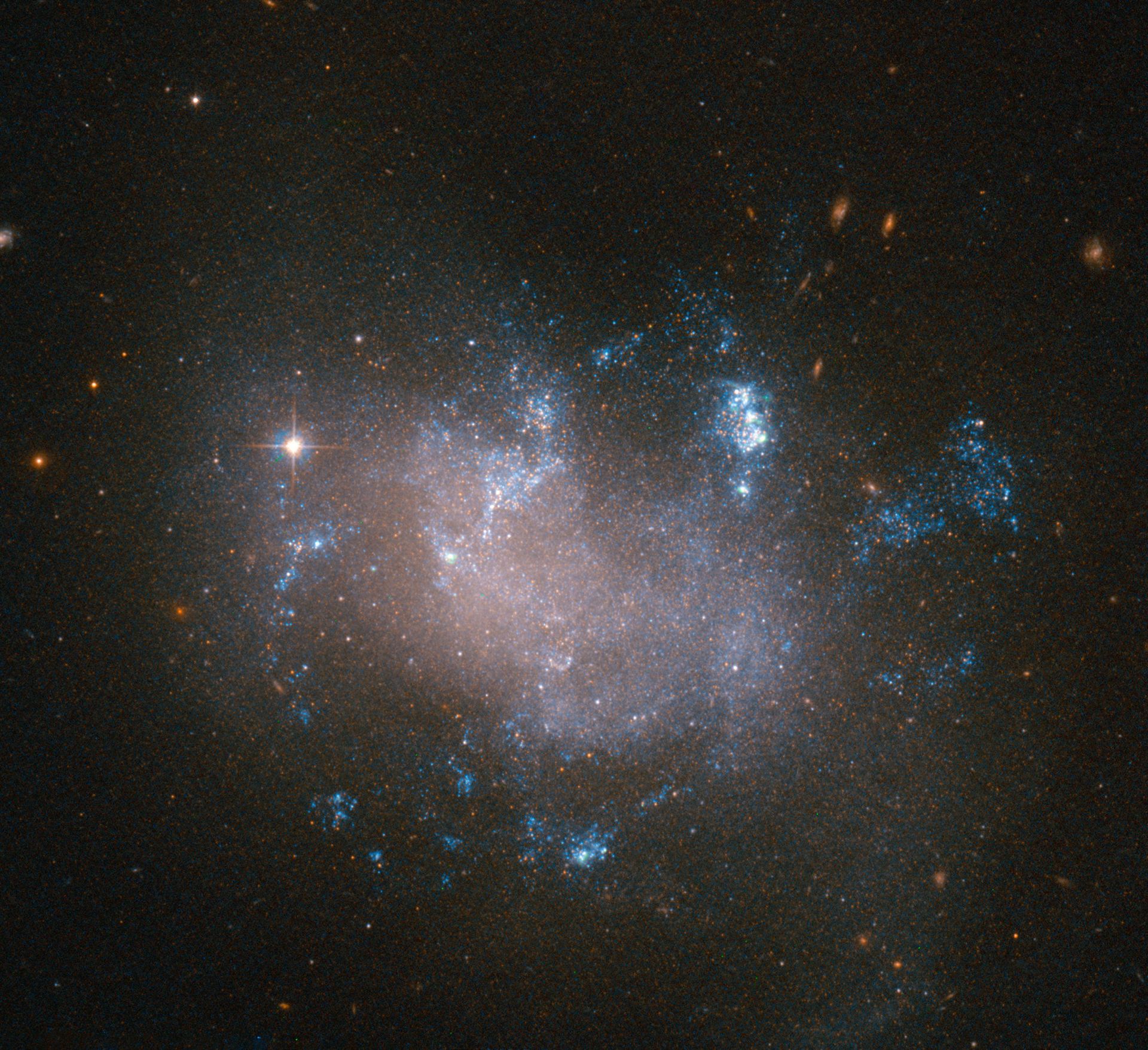 A failed supernova
