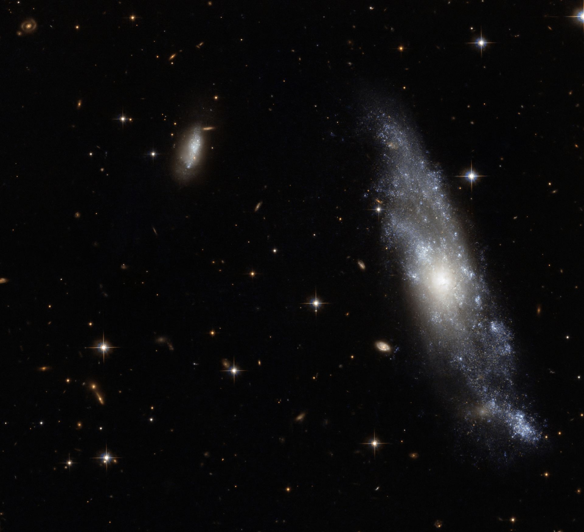 A fine Hydra spiral
