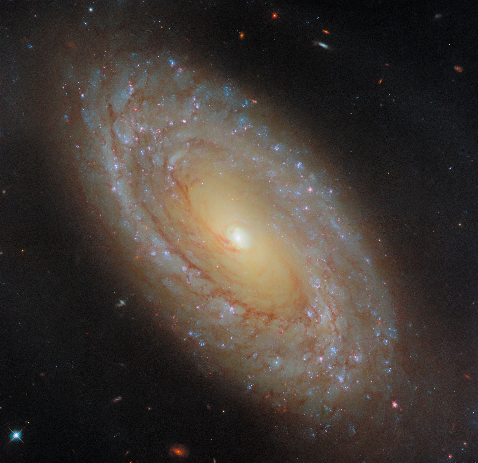 A galaxy that gives great feedback