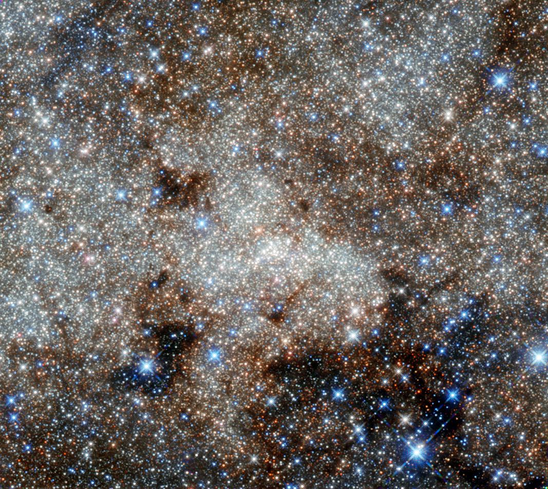 A monster in the Milky Way