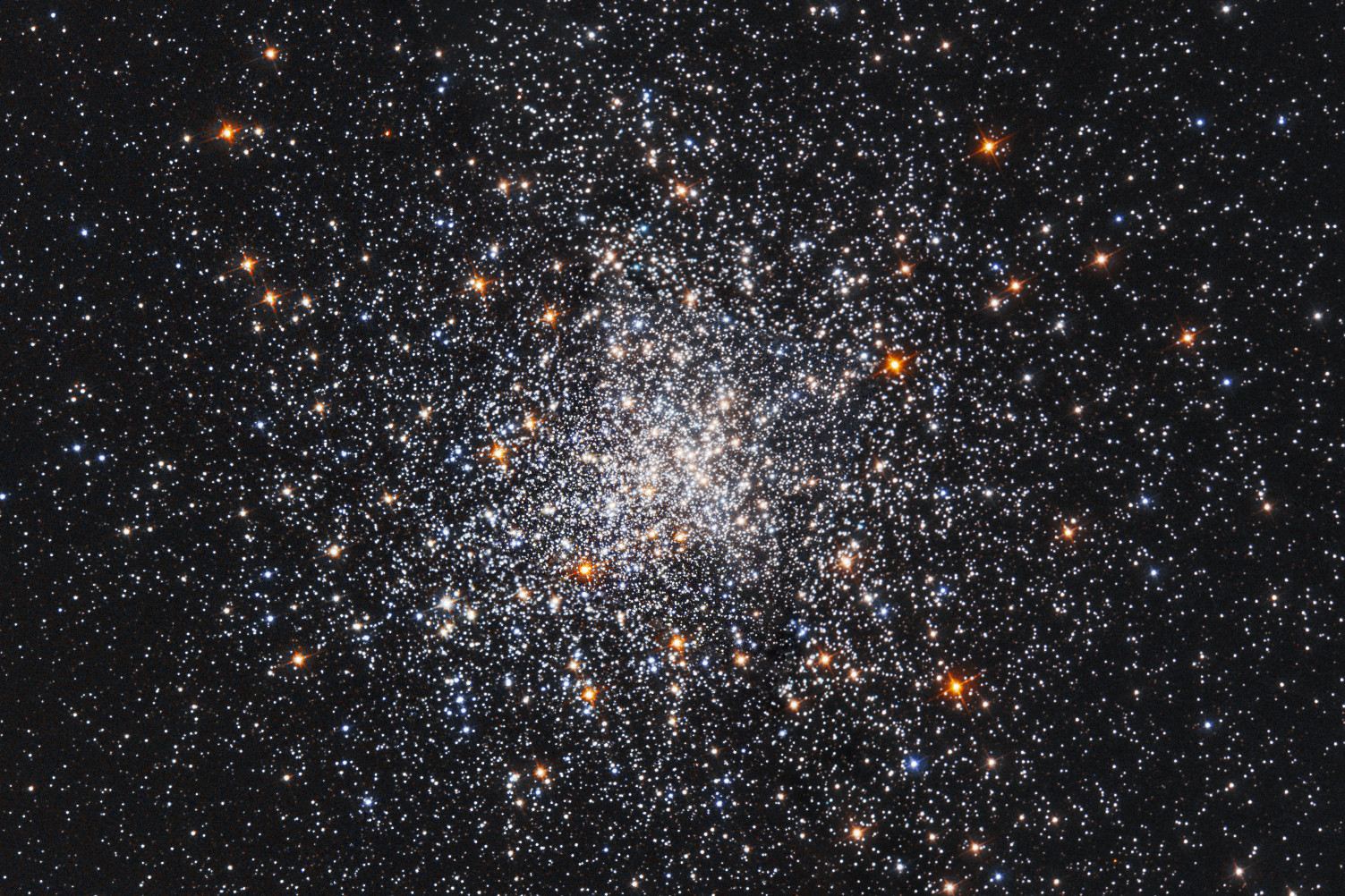 A snowstorm of stars