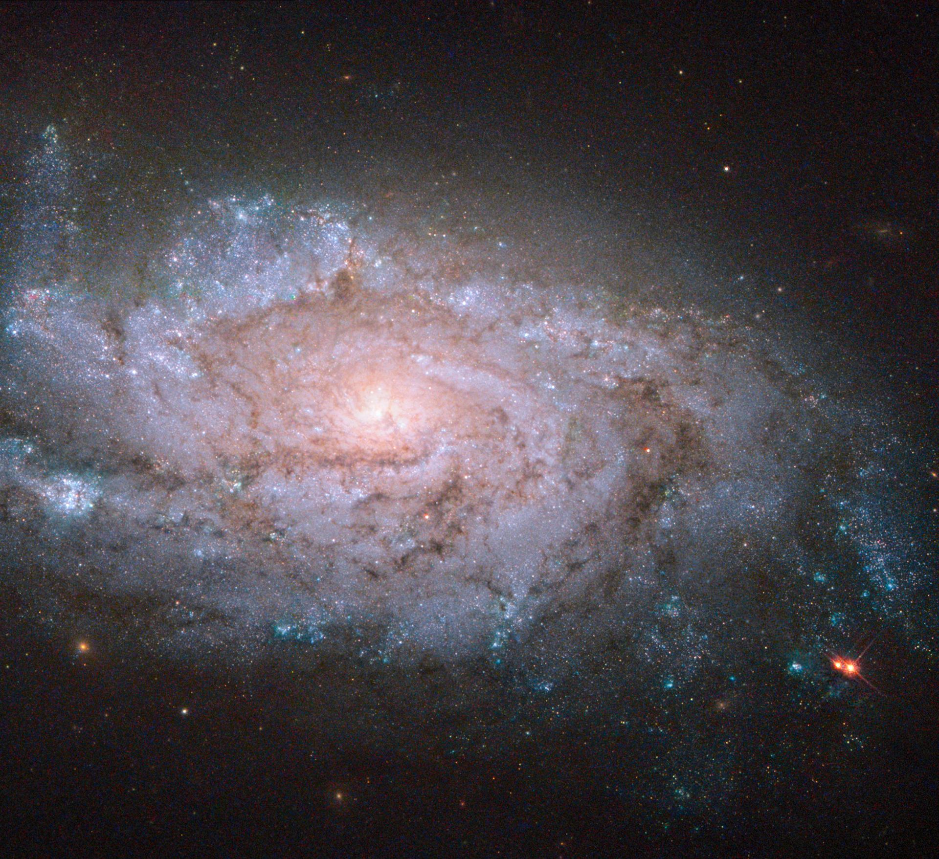 A spiral home to exploding stars