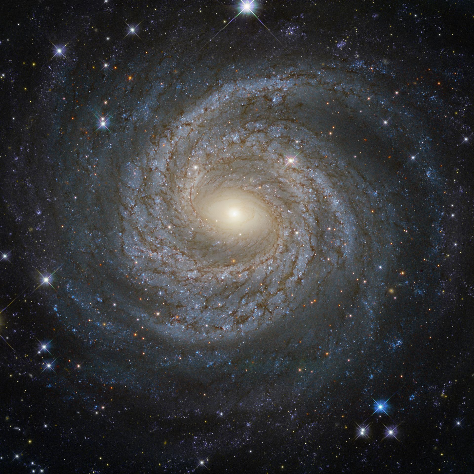 A spiral snowflake