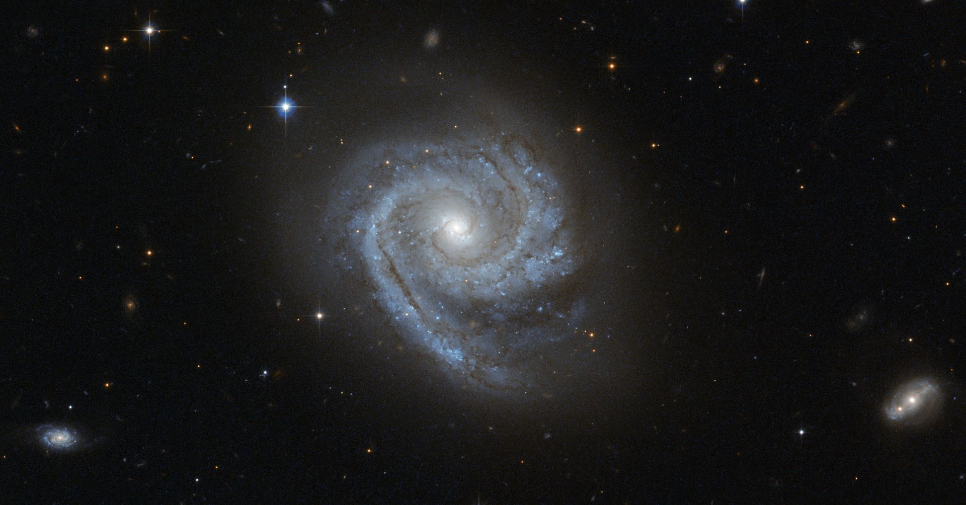A spiral within a spiral