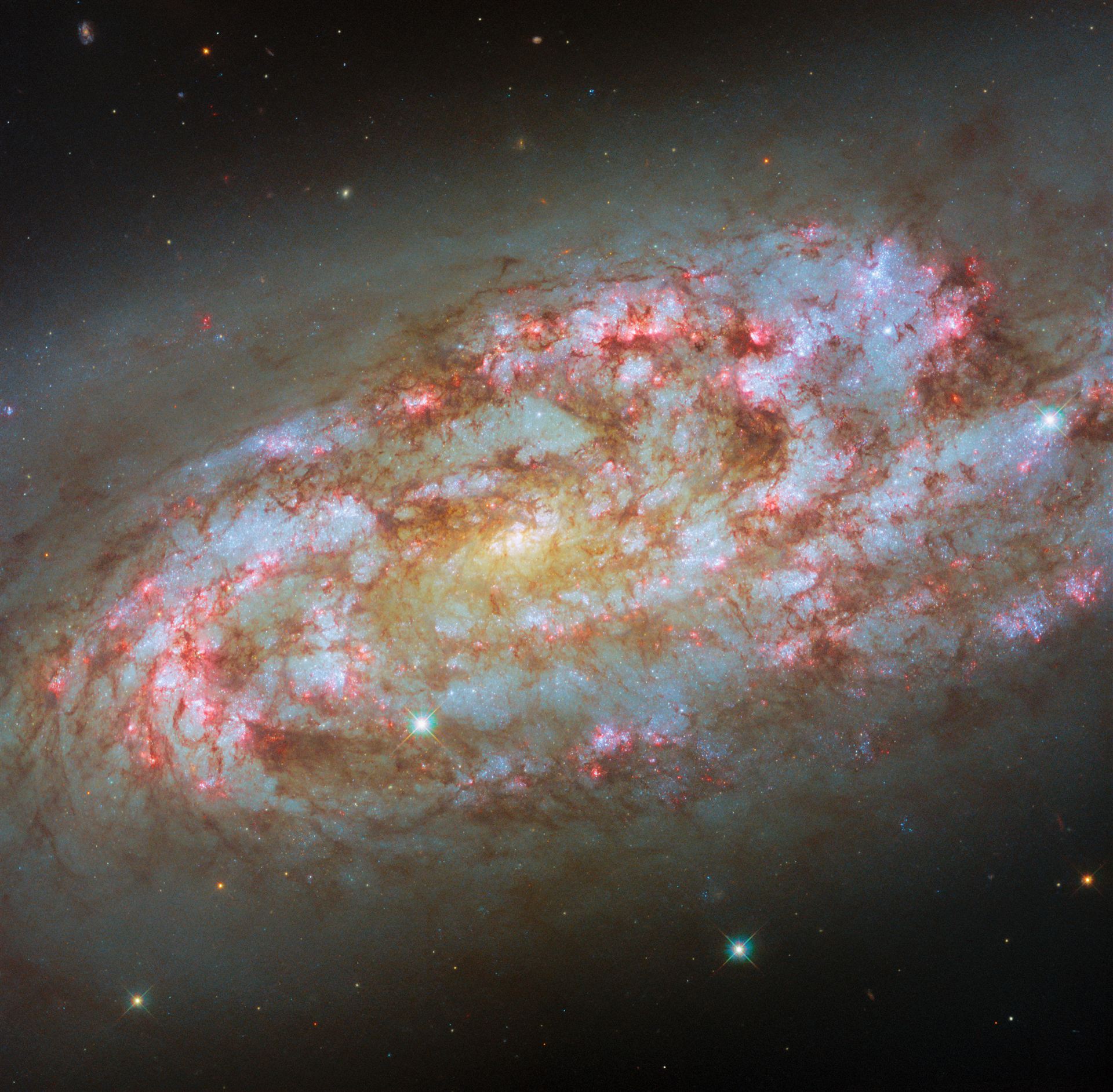 A storm of new stars