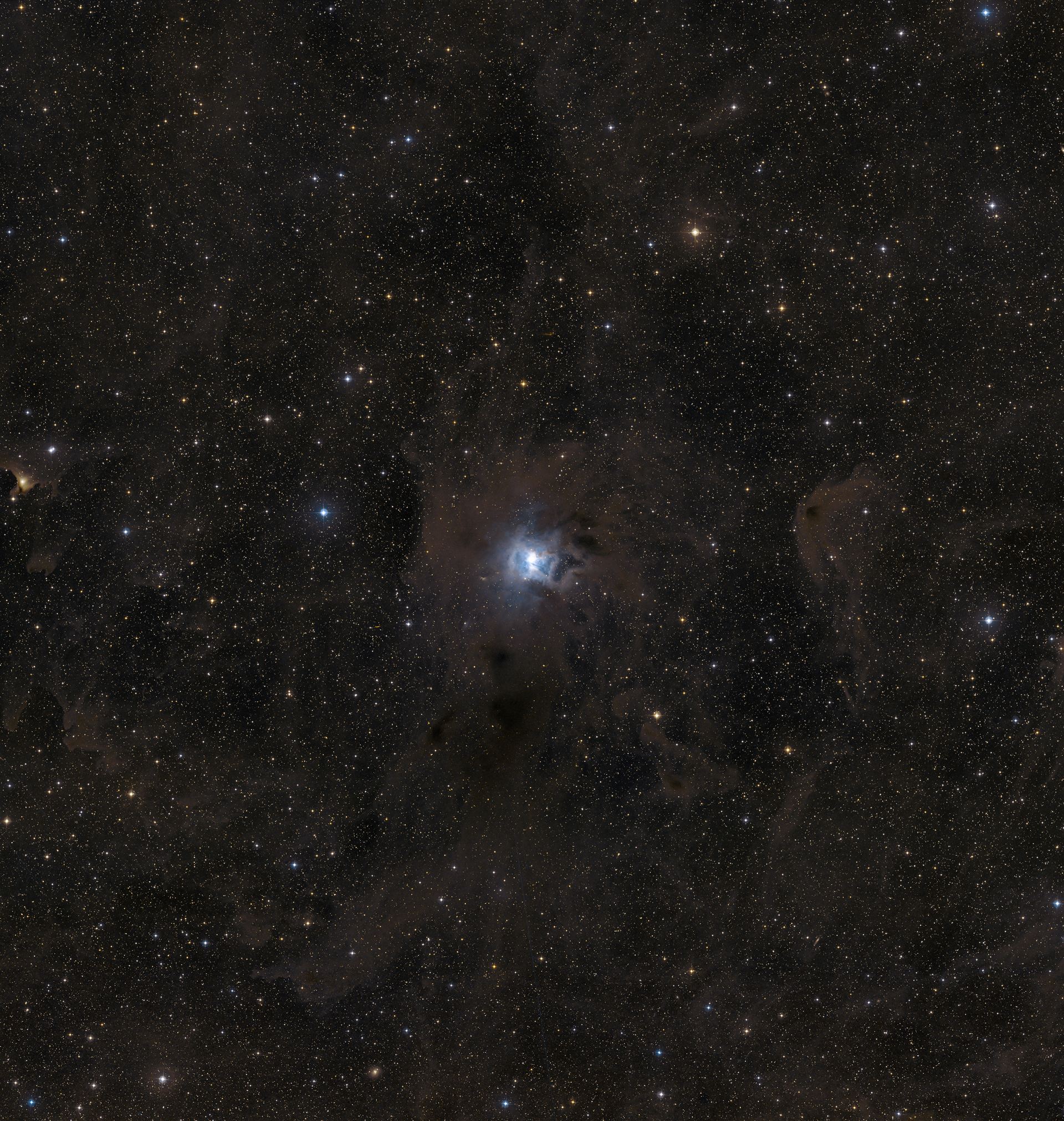 A wide-field view of the region around NGC 7023 (ground-based image)