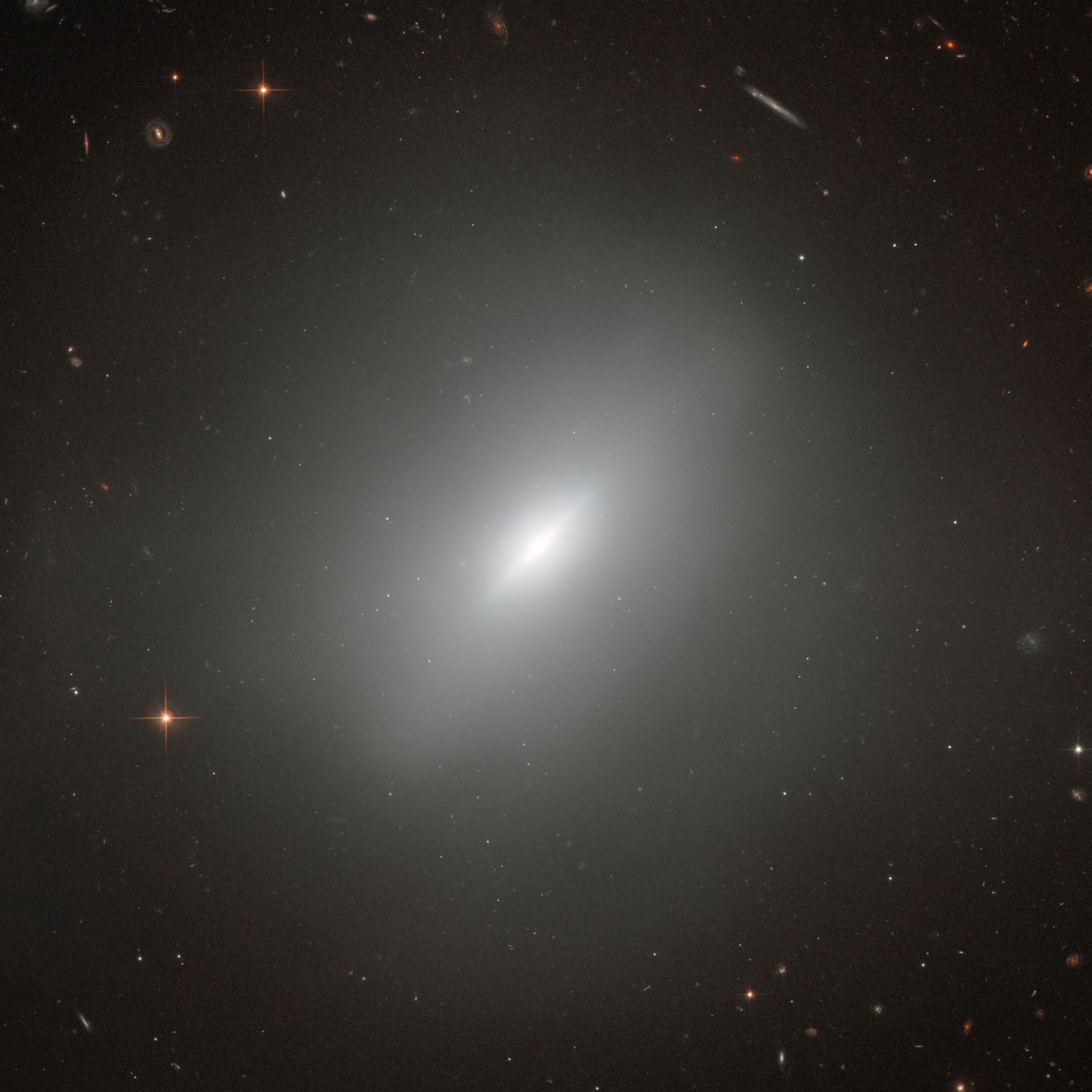 A young elliptical