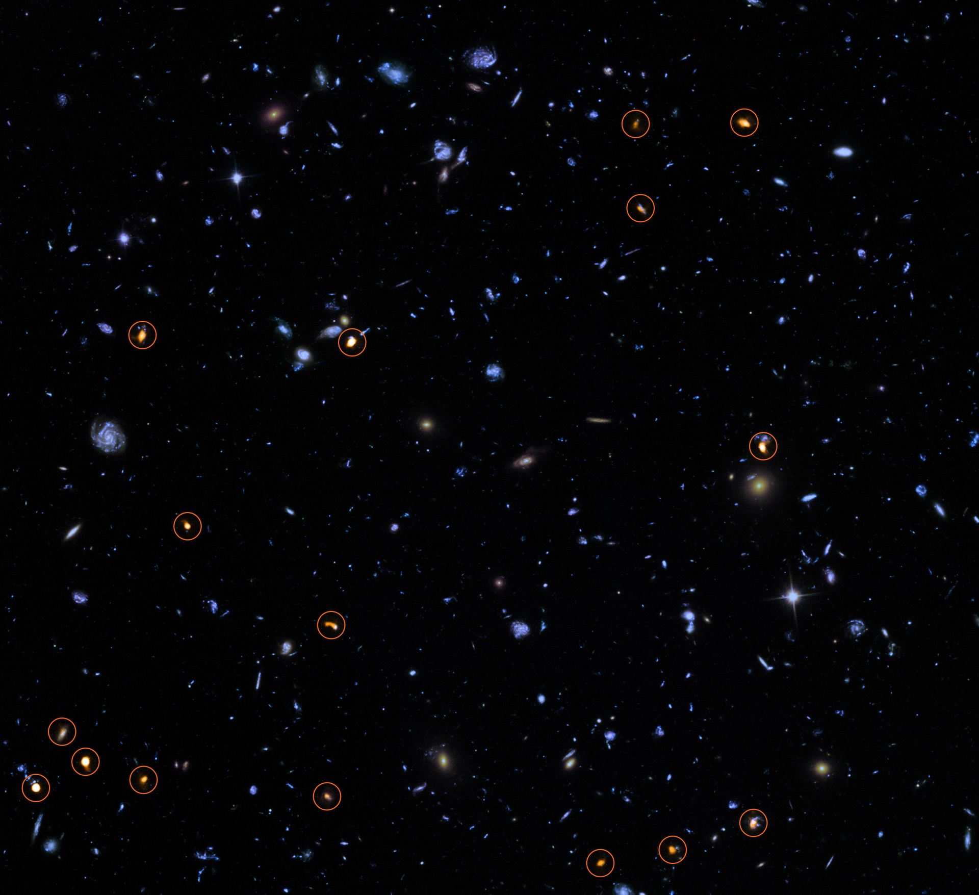 ALMA probes the Hubble Ultra Deep Field
