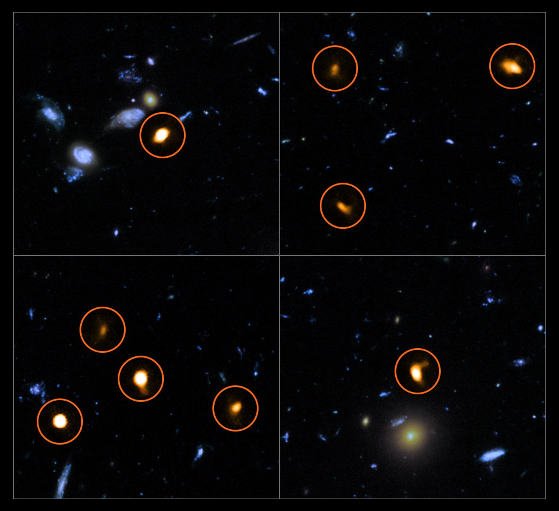 ALMA probes the Hubble Ultra Deep Field