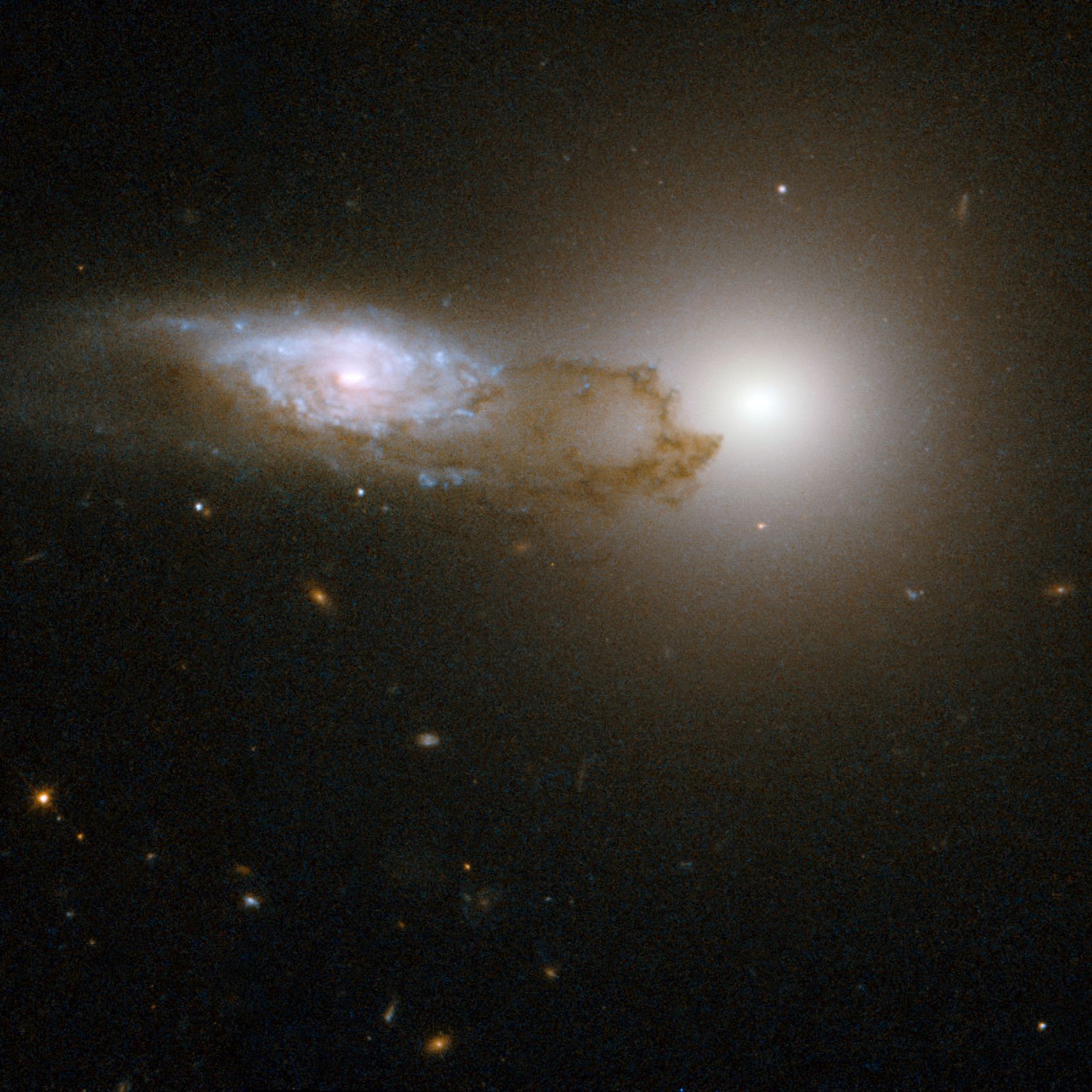 AM1316-241