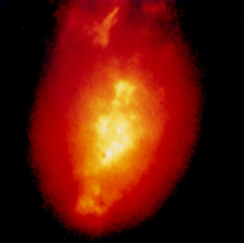 Active Galaxy NGC 1068