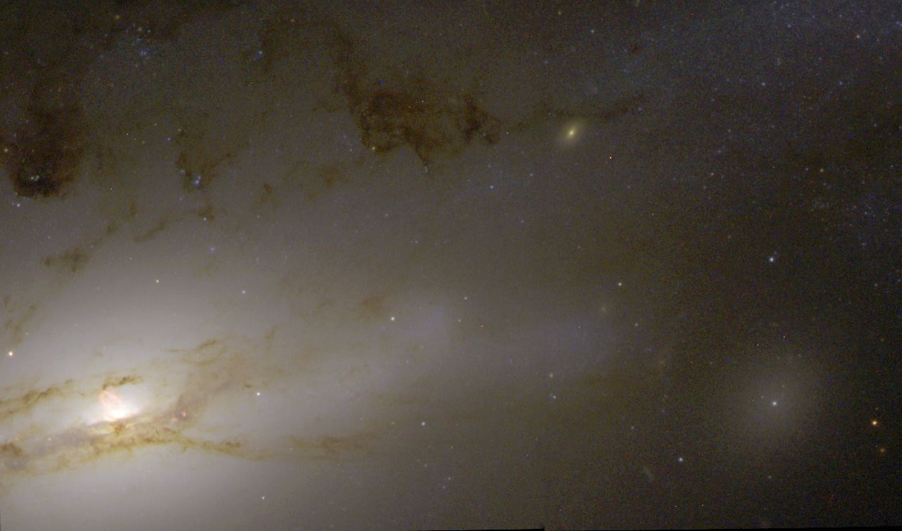 Active Galaxy NGC 4438