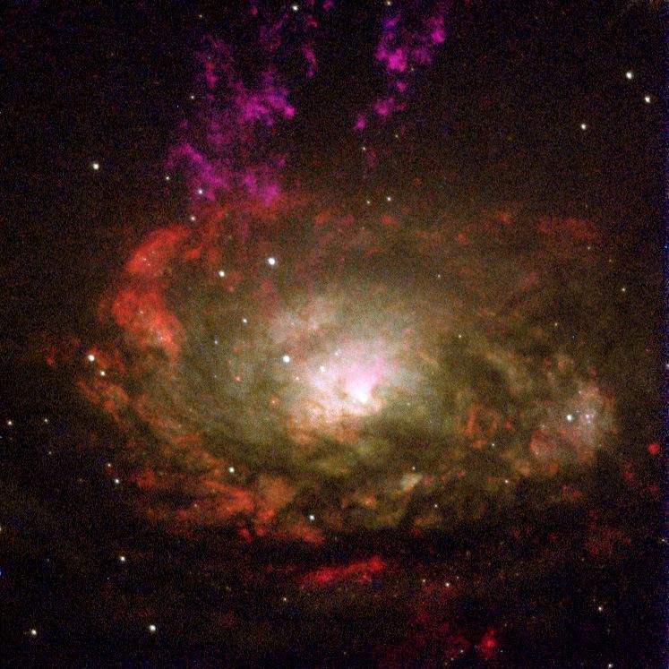 Active galaxy Circinus