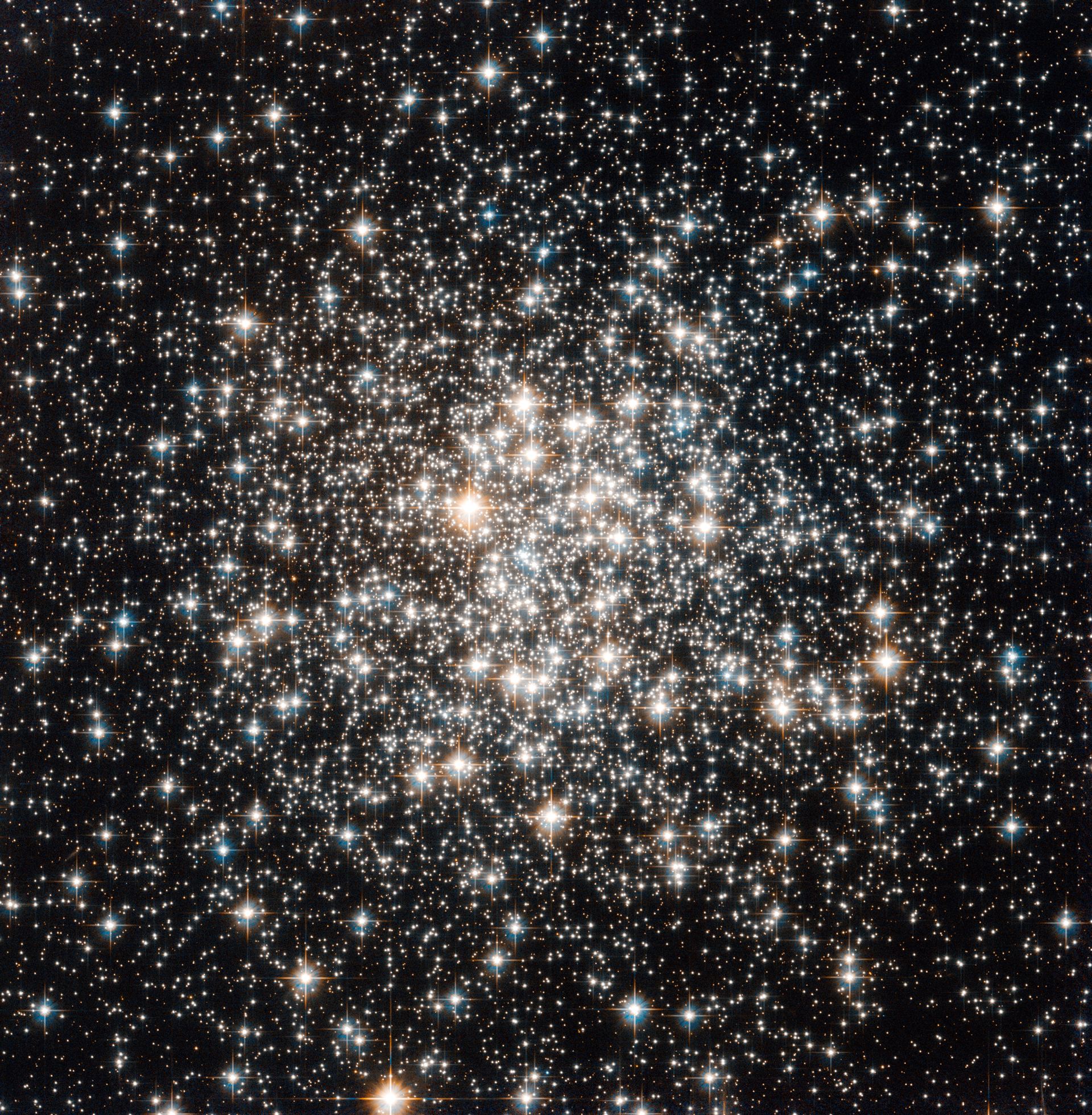 An audience of stellar flashbulbs