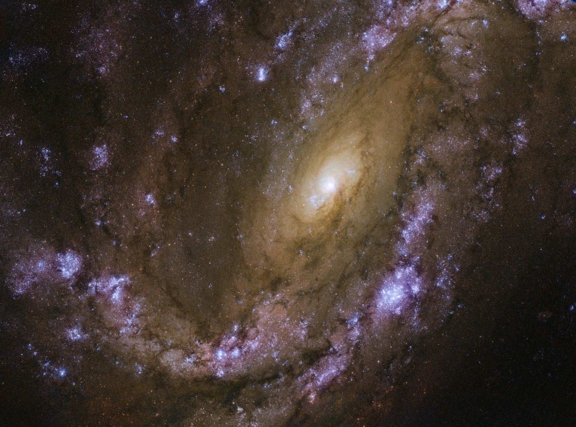 An explosive galaxy