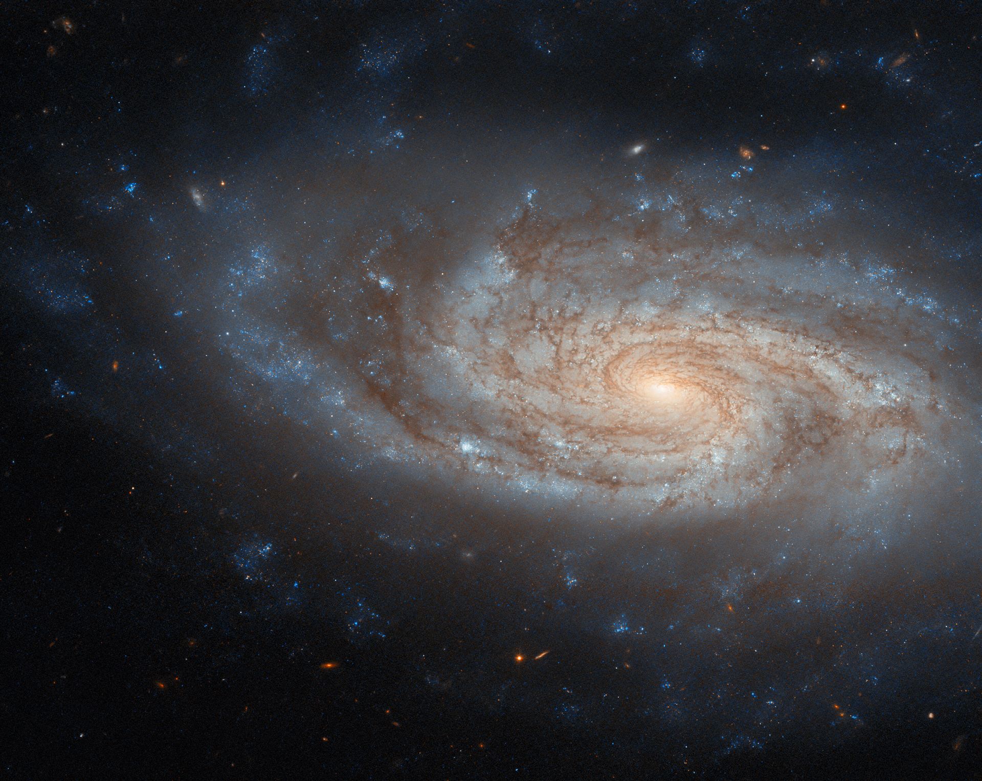 An island universe