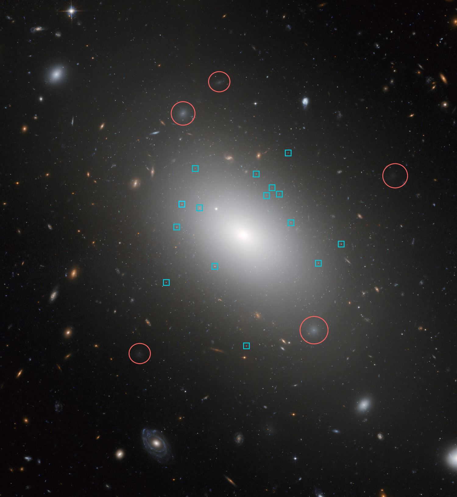Annotated Hubble image of NGC 1132