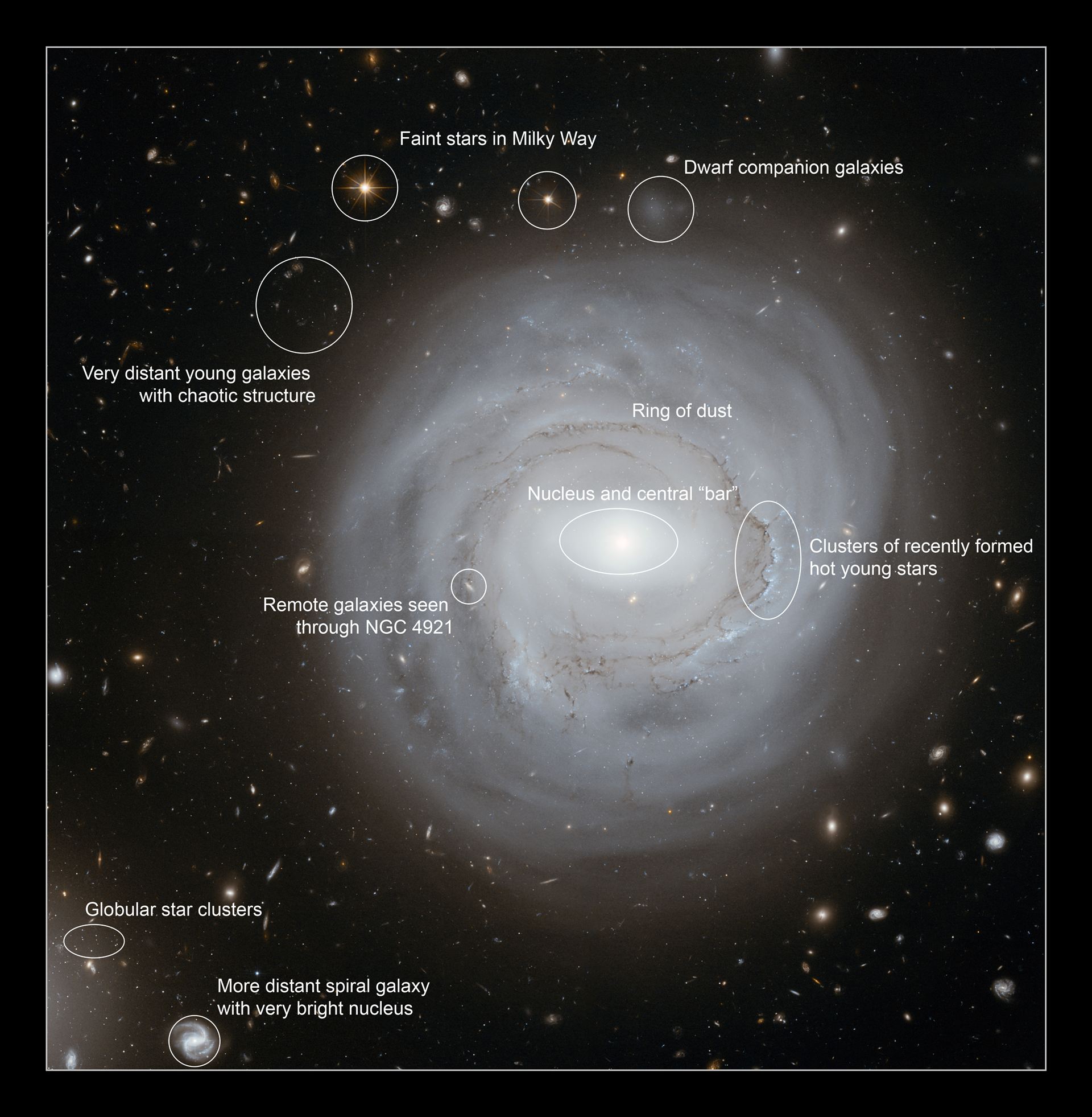 Annotated view of NGC 4921