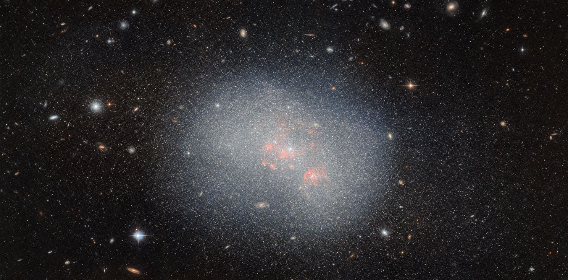 Assembling the largest galaxies