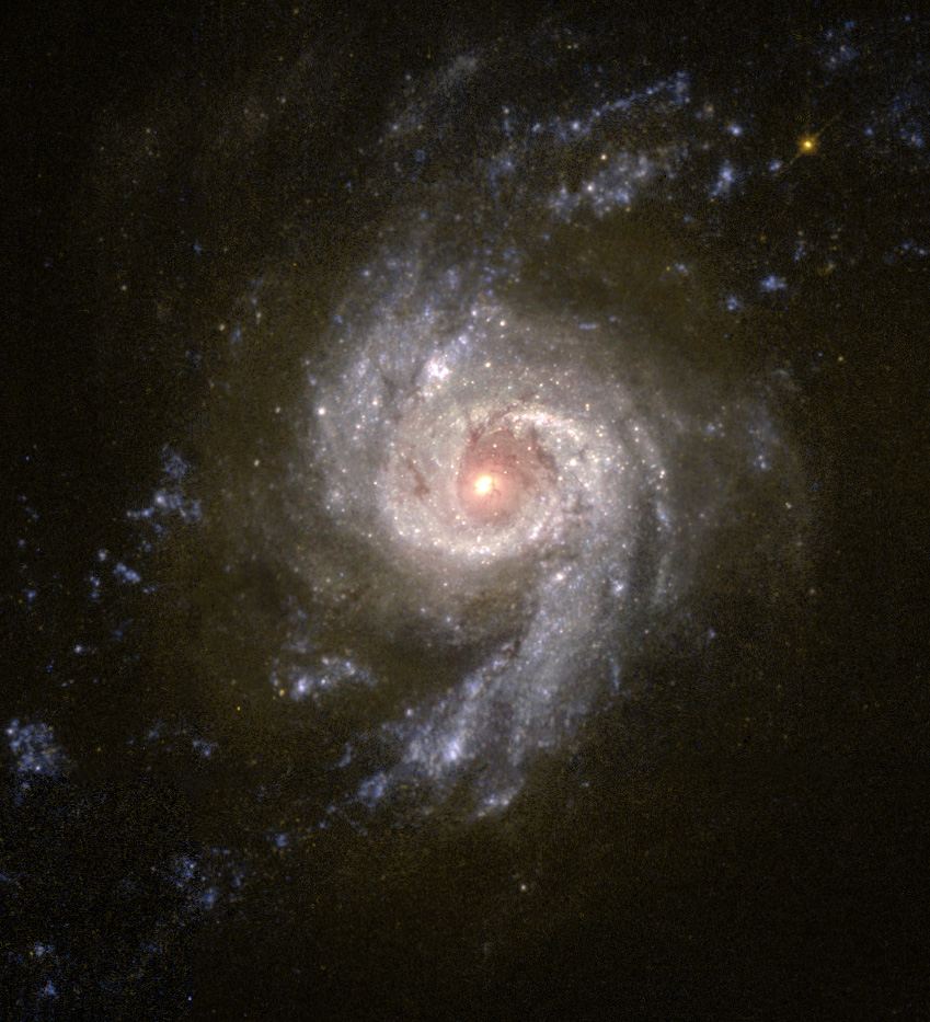 Baby Boom in Galaxy NGC 3310