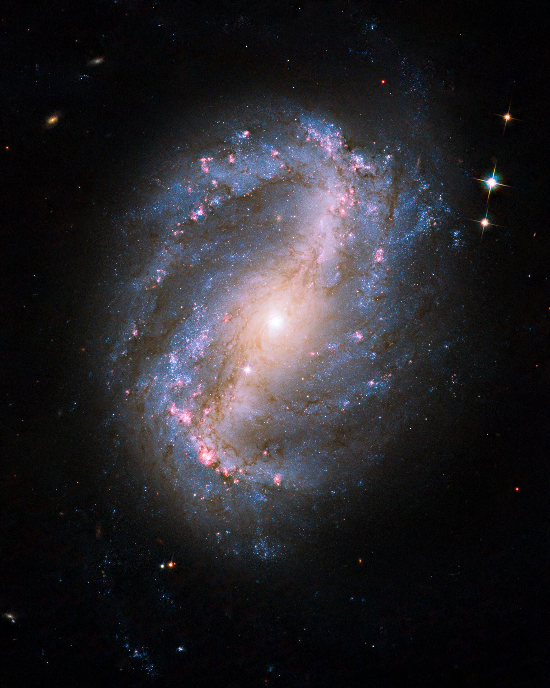 Barred spiral galaxy NGC 6217