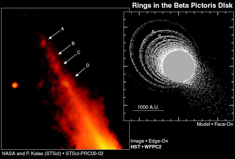 Beta Pictoris Disk Hides Giant Elliptical Ring System (Hubble View and Face On Model)