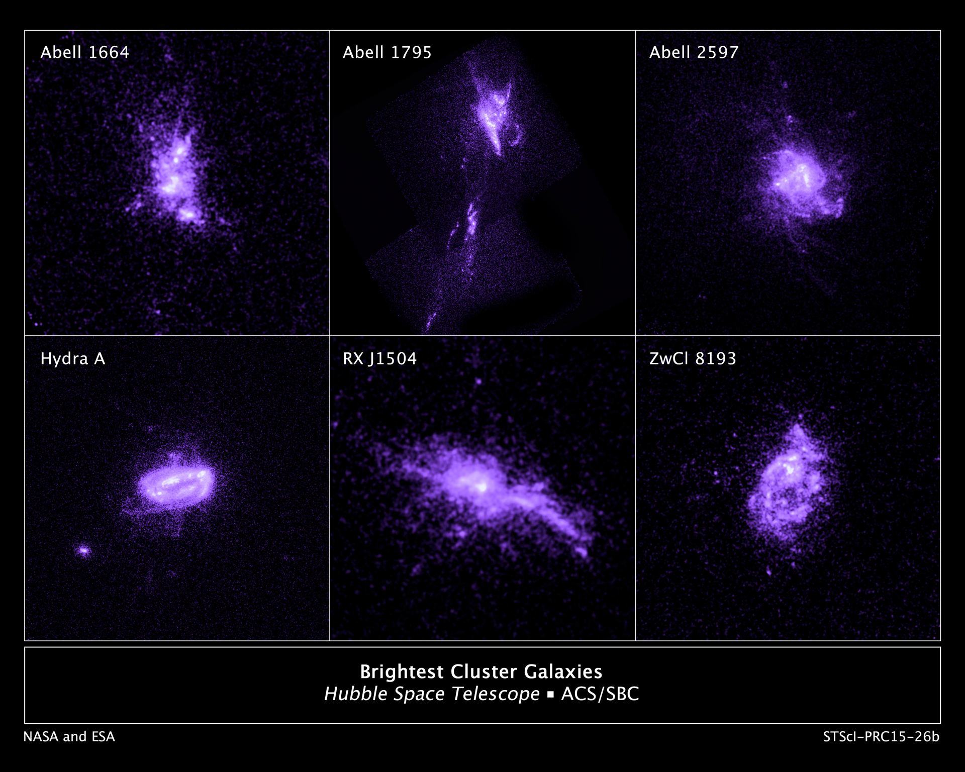 Brightest Cluster Galaxies