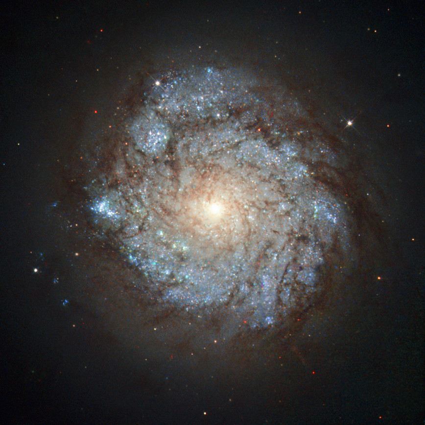 Cassiopeia’s unusual resident