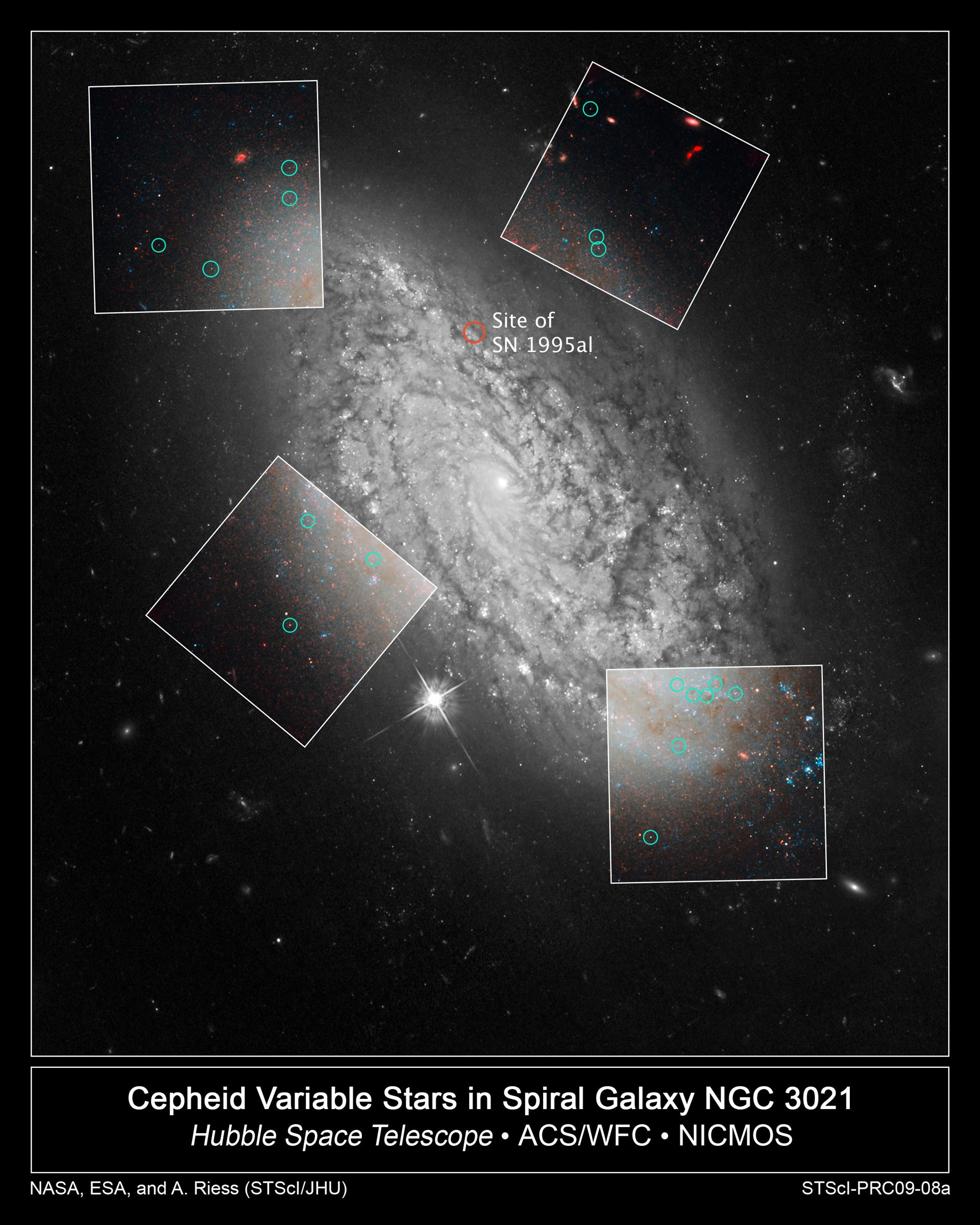 Cepheid variable stars in spiral galaxy NGC 3021