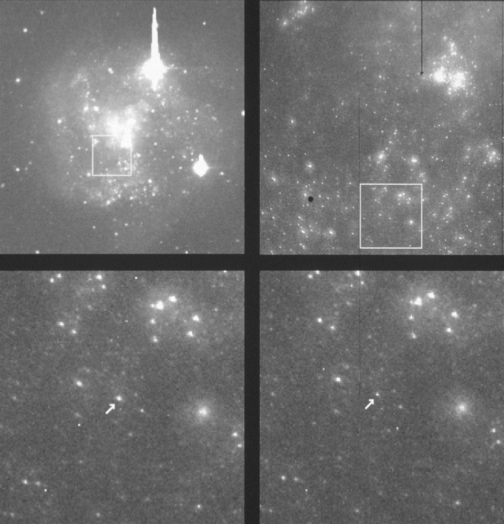 Cepheid variables in IC 4182