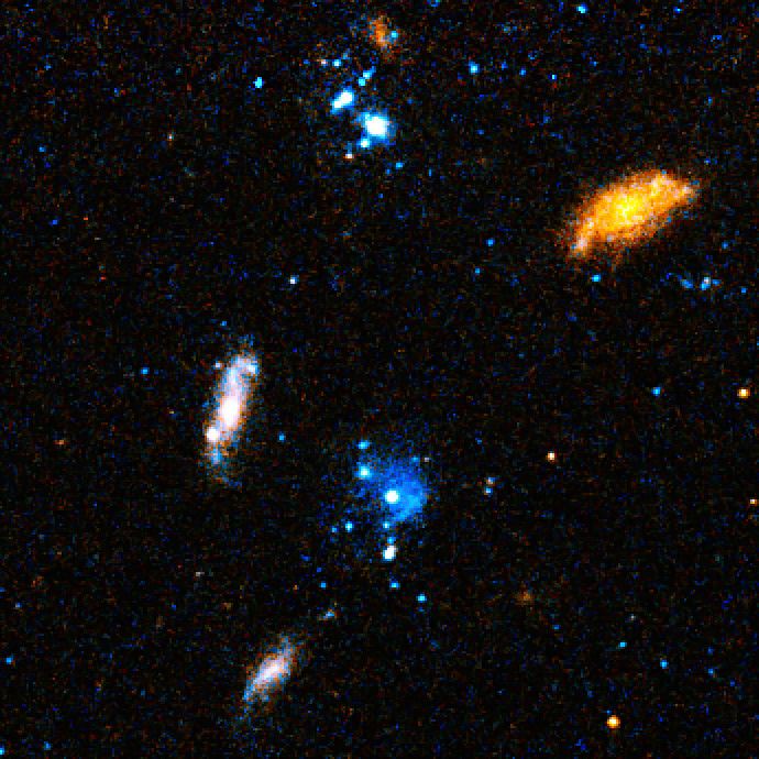 Close-up on blue blobs