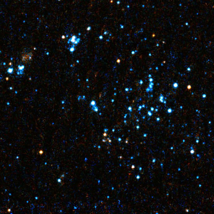 Close-up on blue blobs