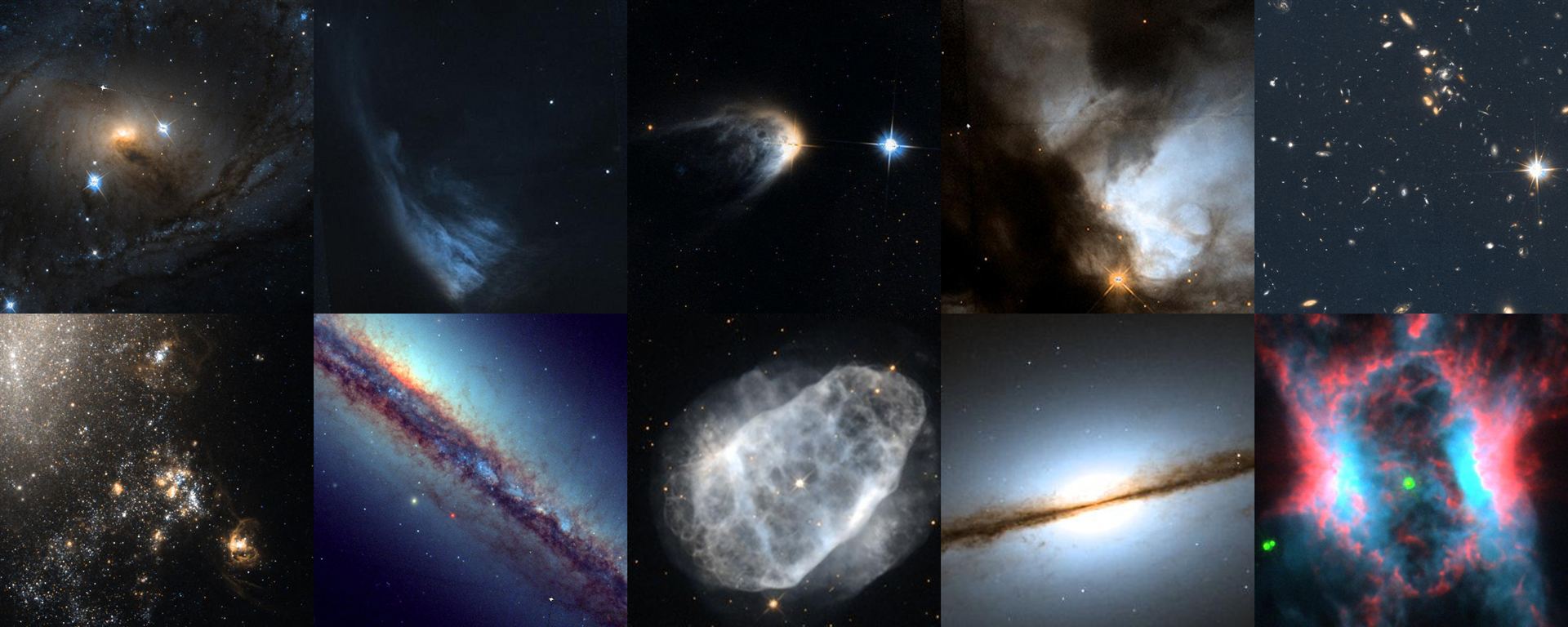 Collage of top images in the Hidden Treasures basic imaging competition