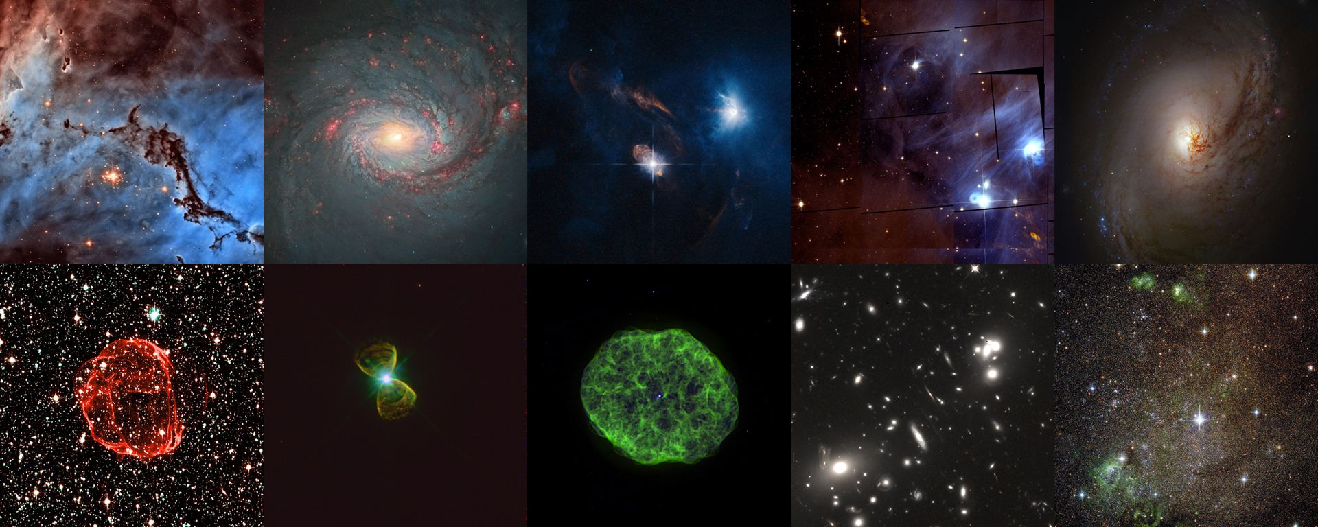 Collage of top images in the Hidden Treasures image processing competition