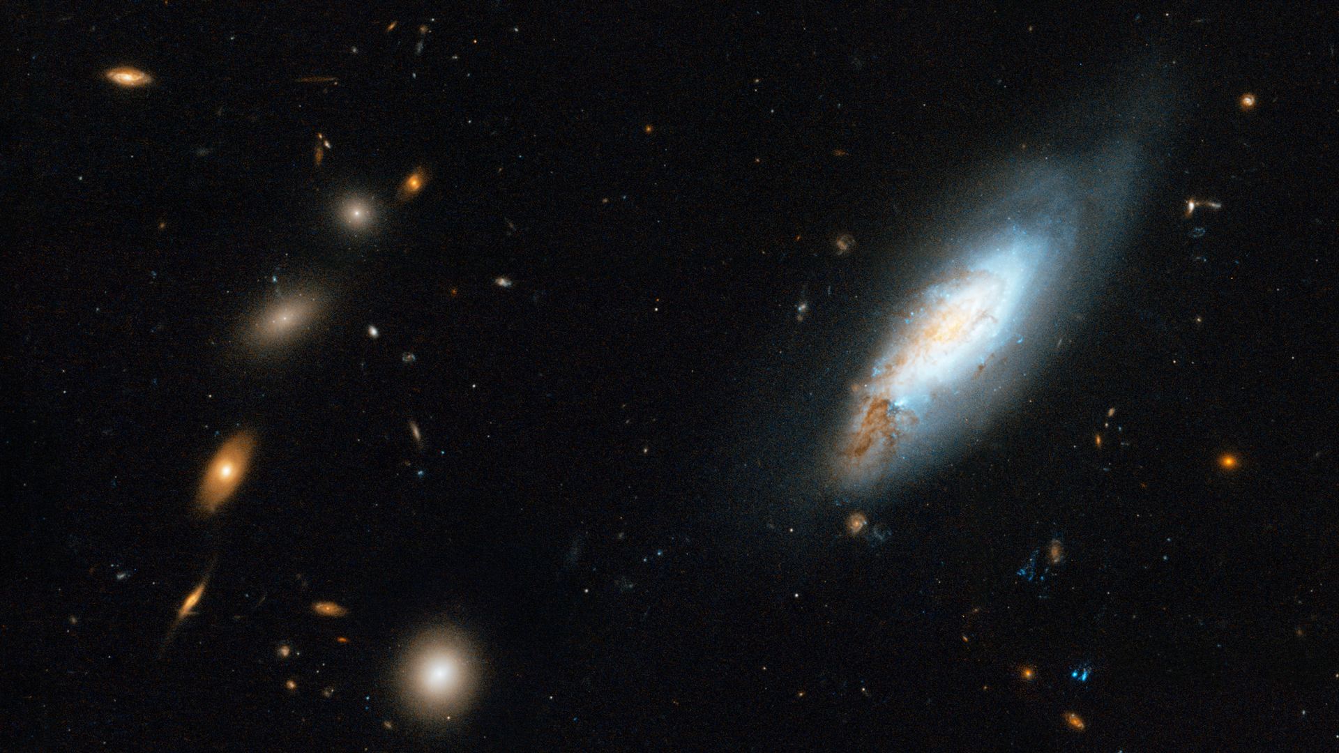 Coma Galaxy Cluster (Detail 1)