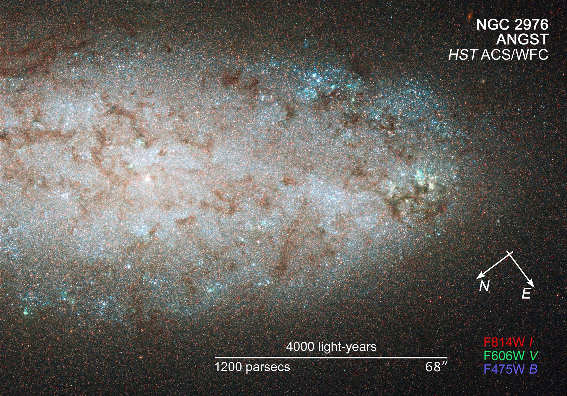 Compass and scale image for NGC 2976